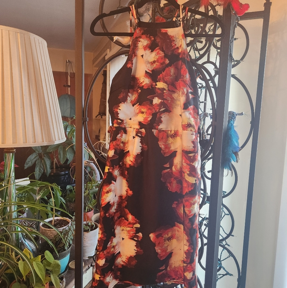 Greylin Black and Fiery Red/Pink Mini Dress